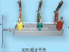  HGW1組合隔離開關